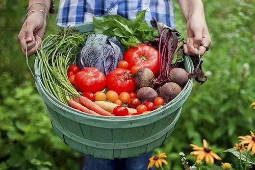 六大農產品安全謠言揭秘，你誤信了么？